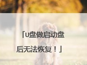 电脑店制作启动盘教程（教你制作启动盘，轻松应对电脑故障）