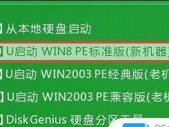 如何详细装双系统教程（实用双系统安装指南，轻松解决操作系统选择困难）