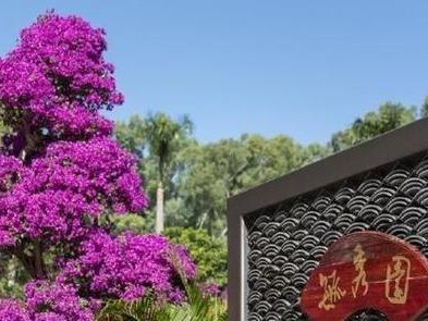 探索泰州市志同文化的魅力（深入了解泰州市志同文化的重要性和特点）