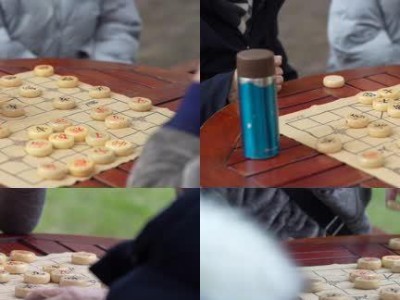 象棋界的顶级高手及其绝世棋艺（揭秘象棋界的传奇人物与巅峰对局）
