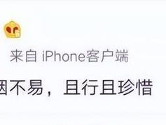 文章长短究竟如何影响阅读体验？（探讨文章长度对阅读习惯和理解能力的影响，并提出优化建议）