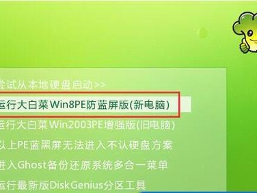 大白菜开机U盘装系统教程（利用大白菜开机U盘，快速安装系统，告别繁琐的安装步骤）