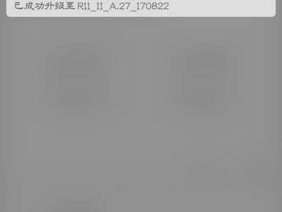 R11系统（R11系统）