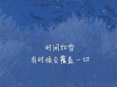美图手机（美图手机所蕴含的时间价值与创新技术）