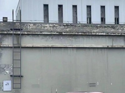 1Pro手机（领先科技、出众性能、无限可能）