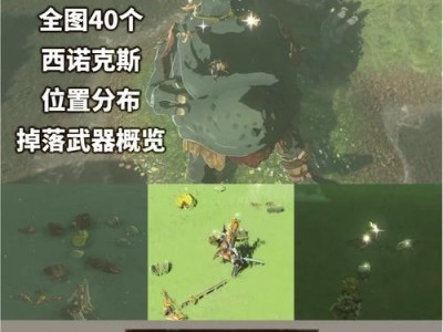 探寻塞尔达最稀有的装备（揭秘塞尔达传说中的神器，一窥极品装备的辉煌）