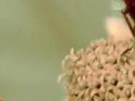 转换MP4格式的软件推荐（15个优秀的MP4转换工具及使用技巧）