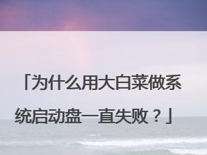 使用大白菜制作启动盘教程（轻松学会如何利用大白菜制作自己的启动盘）