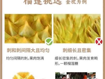 以时度手度（打造高效生活的关键技巧与方法）