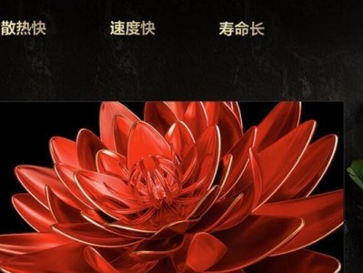 TCL滤水壶（高效过滤，健康饮水的首选）