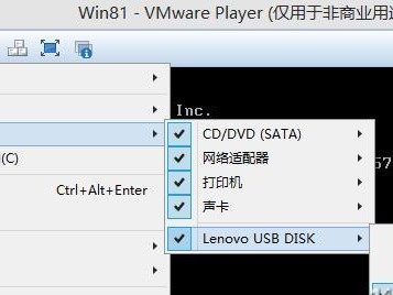 苹果U盘Win10系统安装教程（使用苹果U盘在Mac上安装Windows10系统的步骤和注意事项）