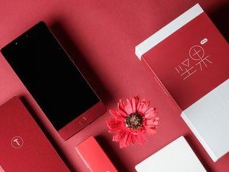 锤子手机坚果系列的优势与特点（深度解析坚果手机的性能、设计和用户体验）